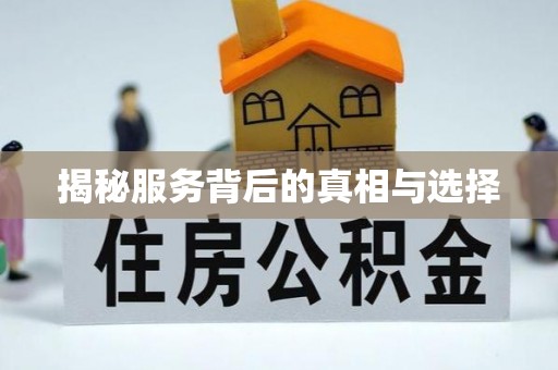 西藏揭秘服务背后的真相与选择