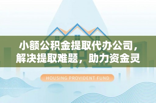 西藏小额公积金提取代办公司，解决提取难题，助力资金灵活使用