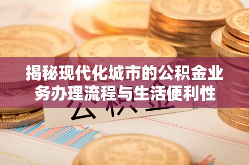 西藏揭秘现代化城市的公积金业务办理流程与生活便利性