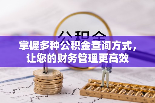 西藏掌握多种公积金查询方式，让您的财务管理更高效