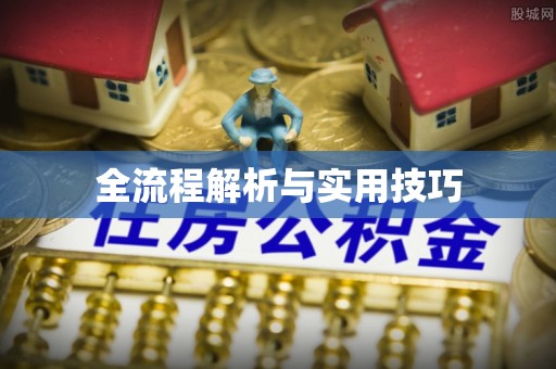 西藏全流程解析与实用技巧