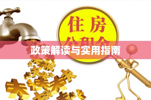 西藏政策解读与实用指南
