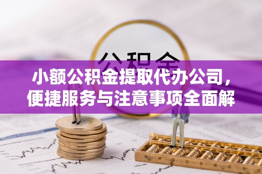西藏小额公积金提取代办公司，便捷服务与注意事项全面解析