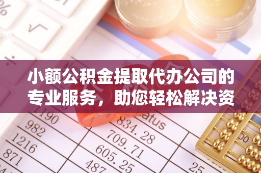 西藏小额公积金提取代办公司的专业服务，助您轻松解决资金难题