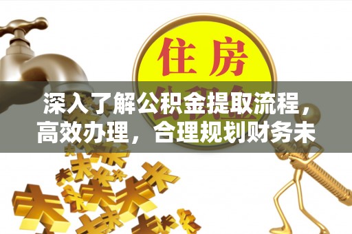 西藏深入了解公积金提取流程，高效办理，合理规划财务未来