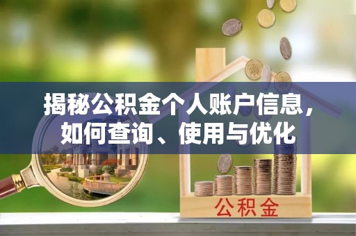 西藏揭秘公积金个人账户信息，如何查询、使用与优化