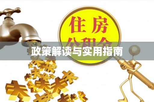 西藏政策解读与实用指南
