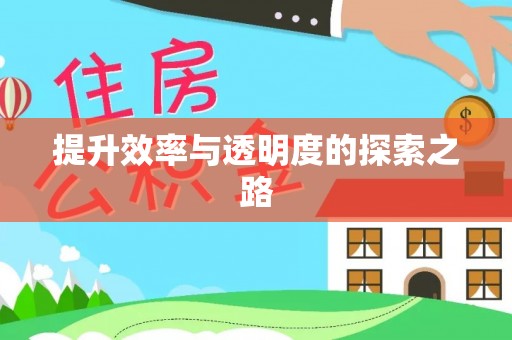 西藏提升效率与透明度的探索之路