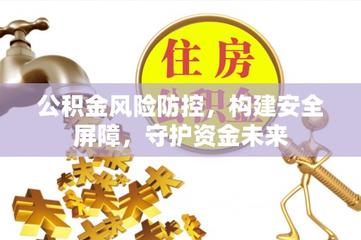 西藏公积金风险防控，构建安全屏障，守护资金未来