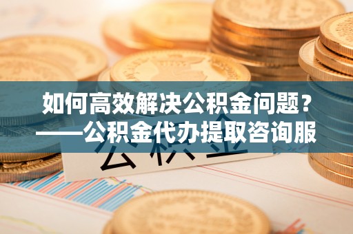 西藏如何高效解决公积金问题？——公积金代办提取咨询服务指南