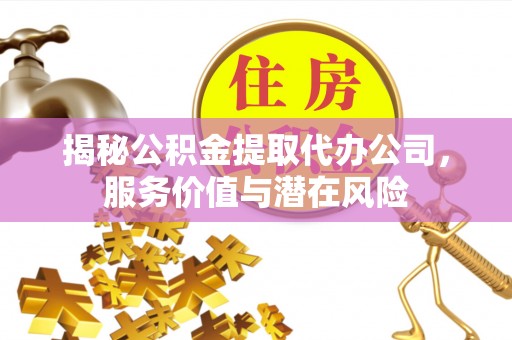 西藏揭秘公积金提取代办公司，服务价值与潜在风险