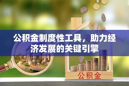 西藏公积金制度性工具，助力经济发展的关键引擎