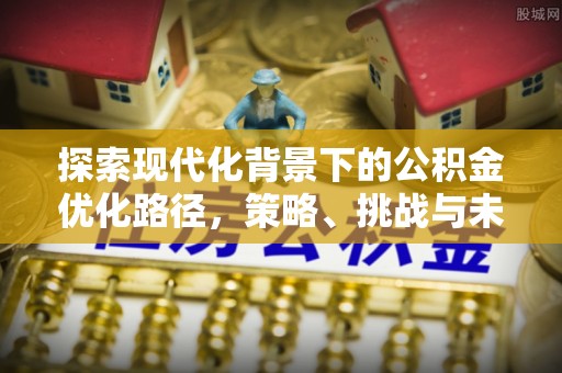西藏探索现代化背景下的公积金优化路径，策略、挑战与未来展望