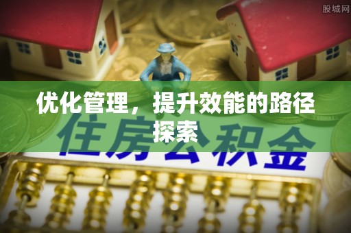 西藏优化管理，提升效能的路径探索