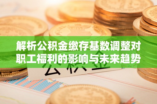 西藏解析公积金缴存基数调整对职工福利的影响与未来趋势