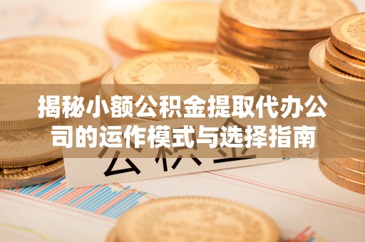 西藏揭秘小额公积金提取代办公司的运作模式与选择指南
