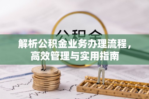 西藏解析公积金业务办理流程，高效管理与实用指南