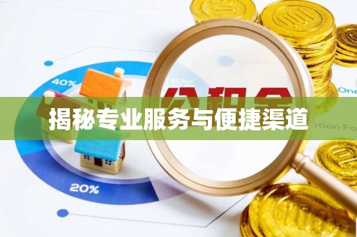 西藏揭秘专业服务与便捷渠道