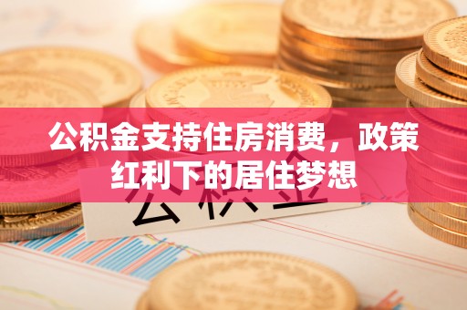 西藏公积金支持住房消费，政策红利下的居住梦想