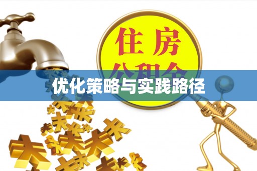 西藏优化策略与实践路径
