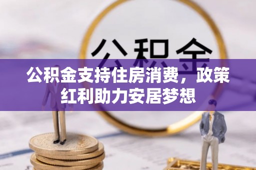 西藏公积金支持住房消费，政策红利助力安居梦想