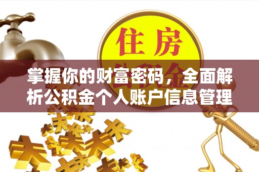 西藏掌握你的财富密码，全面解析公积金个人账户信息管理