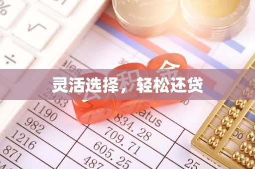 西藏灵活选择，轻松还贷