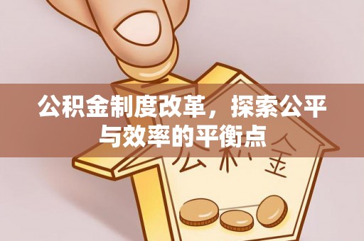 西藏公积金制度改革，探索公平与效率的平衡点