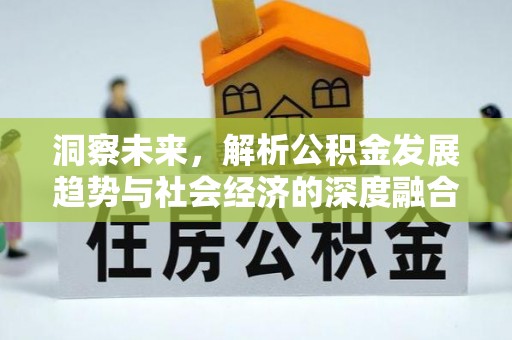 西藏洞察未来，解析公积金发展趋势与社会经济的深度融合