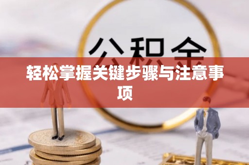 西藏轻松掌握关键步骤与注意事项