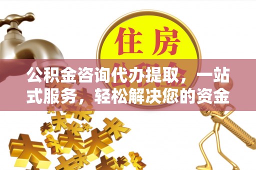 西藏公积金咨询代办提取，一站式服务，轻松解决您的资金需求