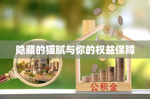 西藏隐藏的猫腻与你的权益保障