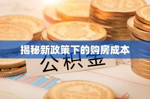 西藏揭秘新政策下的购房成本