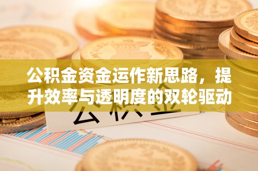 西藏公积金资金运作新思路，提升效率与透明度的双轮驱动