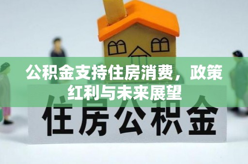 西藏公积金支持住房消费，政策红利与未来展望
