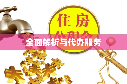 西藏全面解析与代办服务