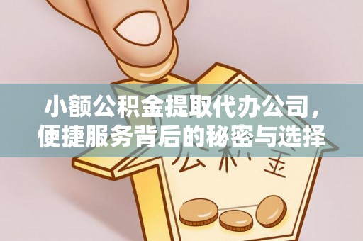 西藏小额公积金提取代办公司，便捷服务背后的秘密与选择指南