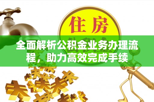 西藏全面解析公积金业务办理流程，助力高效完成手续