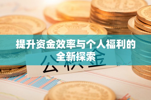 西藏提升资金效率与个人福利的全新探索