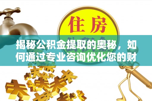 西藏揭秘公积金提取的奥秘，如何通过专业咨询优化您的财务规划