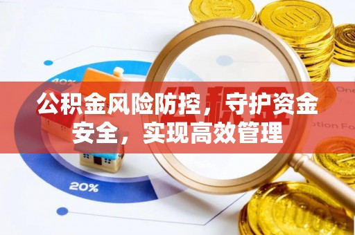 西藏公积金风险防控，守护资金安全，实现高效管理