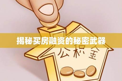 西藏揭秘买房融资的秘密武器