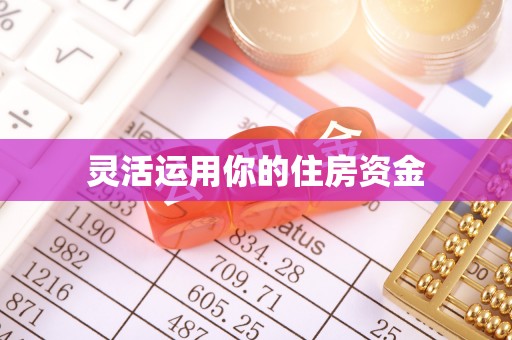西藏灵活运用你的住房资金