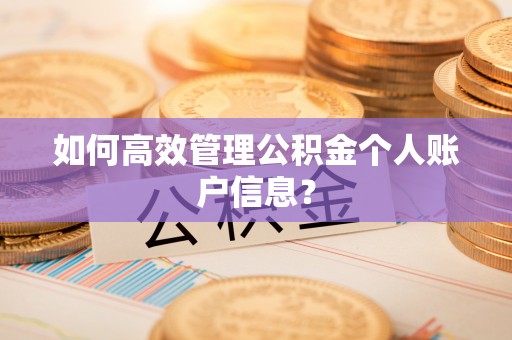西藏如何高效管理公积金个人账户信息？