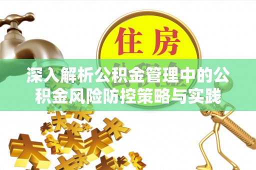 西藏深入解析公积金管理中的公积金风险防控策略与实践
