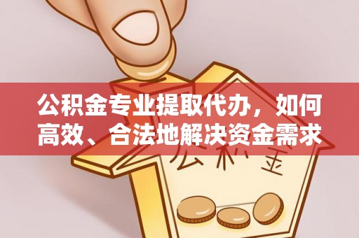 西藏公积金专业提取代办，如何高效、合法地解决资金需求？