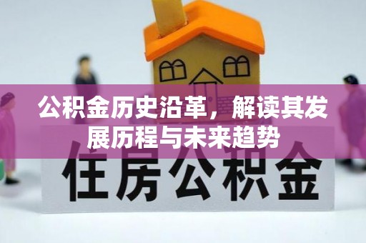 西藏公积金历史沿革，解读其发展历程与未来趋势
