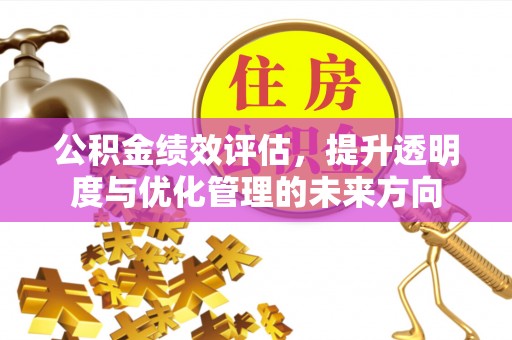 西藏公积金绩效评估，提升透明度与优化管理的未来方向