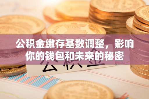 西藏公积金缴存基数调整，影响你的钱包和未来的秘密