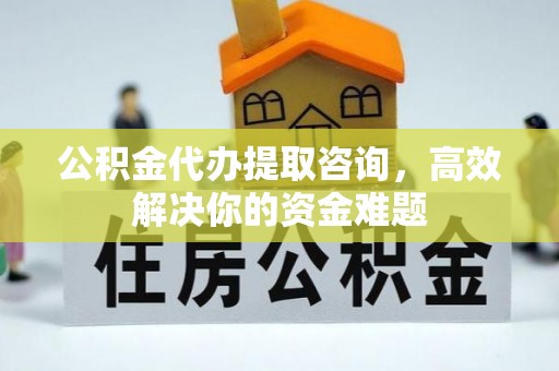 西藏公积金代办提取咨询，高效解决你的资金难题